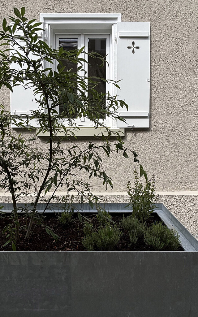 Modernisierung Friedenstraße 9